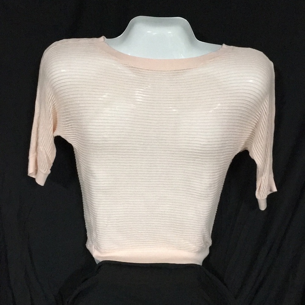 Express see through sweater. XS